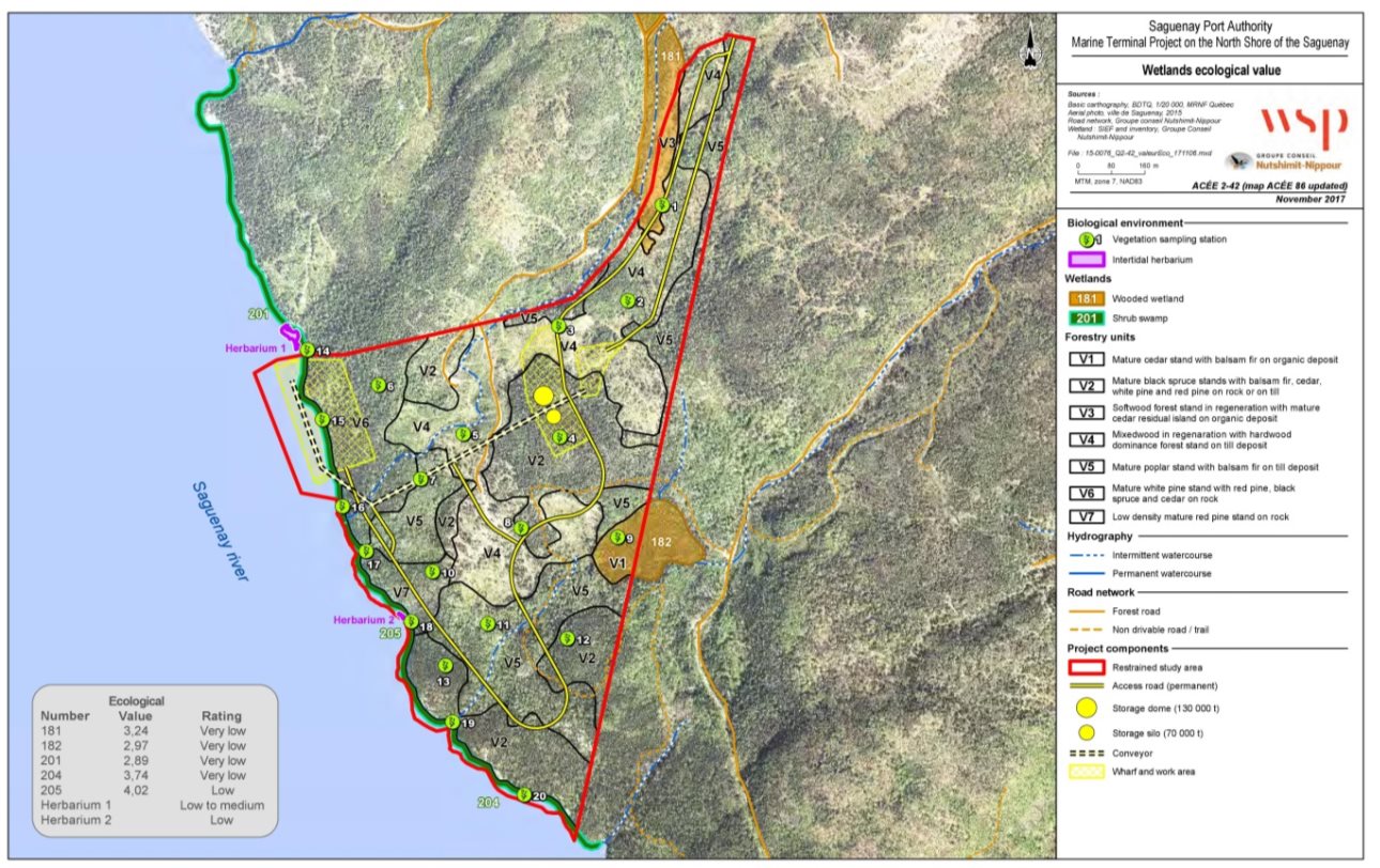 Figure 9: Wetlands and forest stands in the limited study area